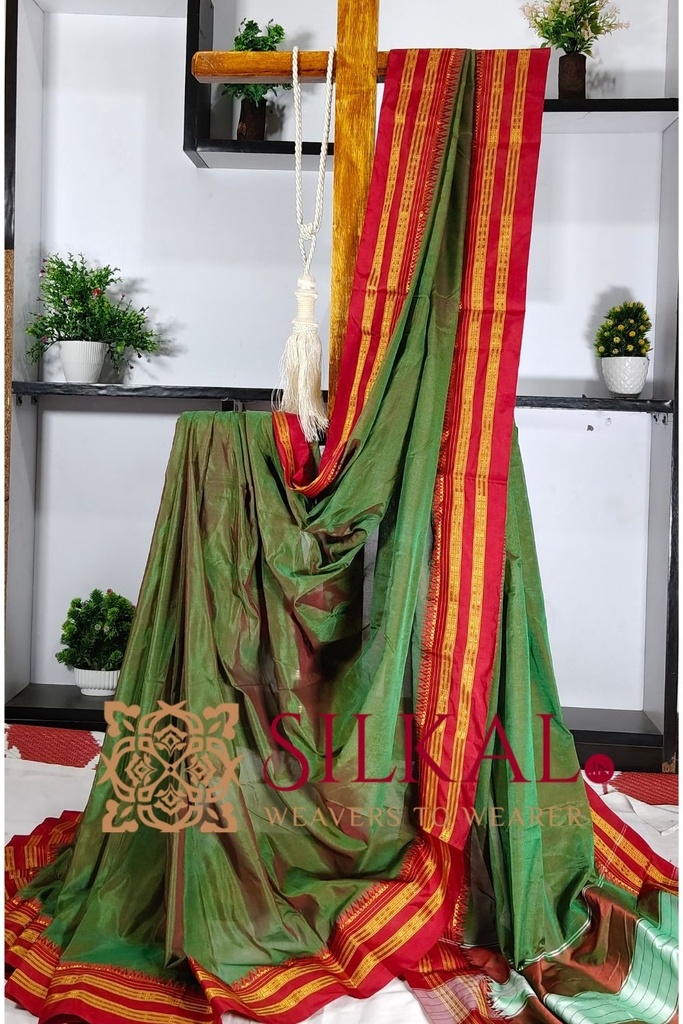 Ilkal Cotton Gaadi Dadi Plain Saree