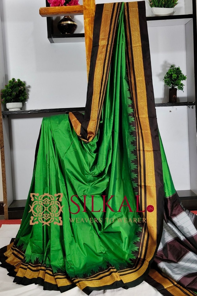Ilkal Poly Cotton Temple Gadwal Plain Saree
